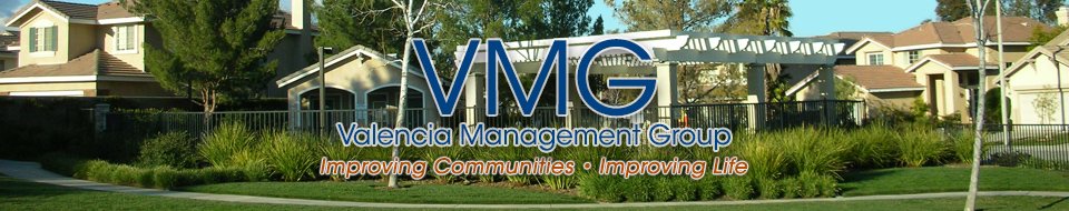 VMG Logo